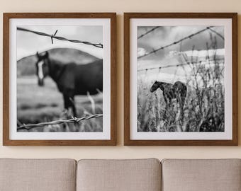 Svartvita hästfotograferingsbilder – Rustik västerländsk inredning (digital nedladdning)