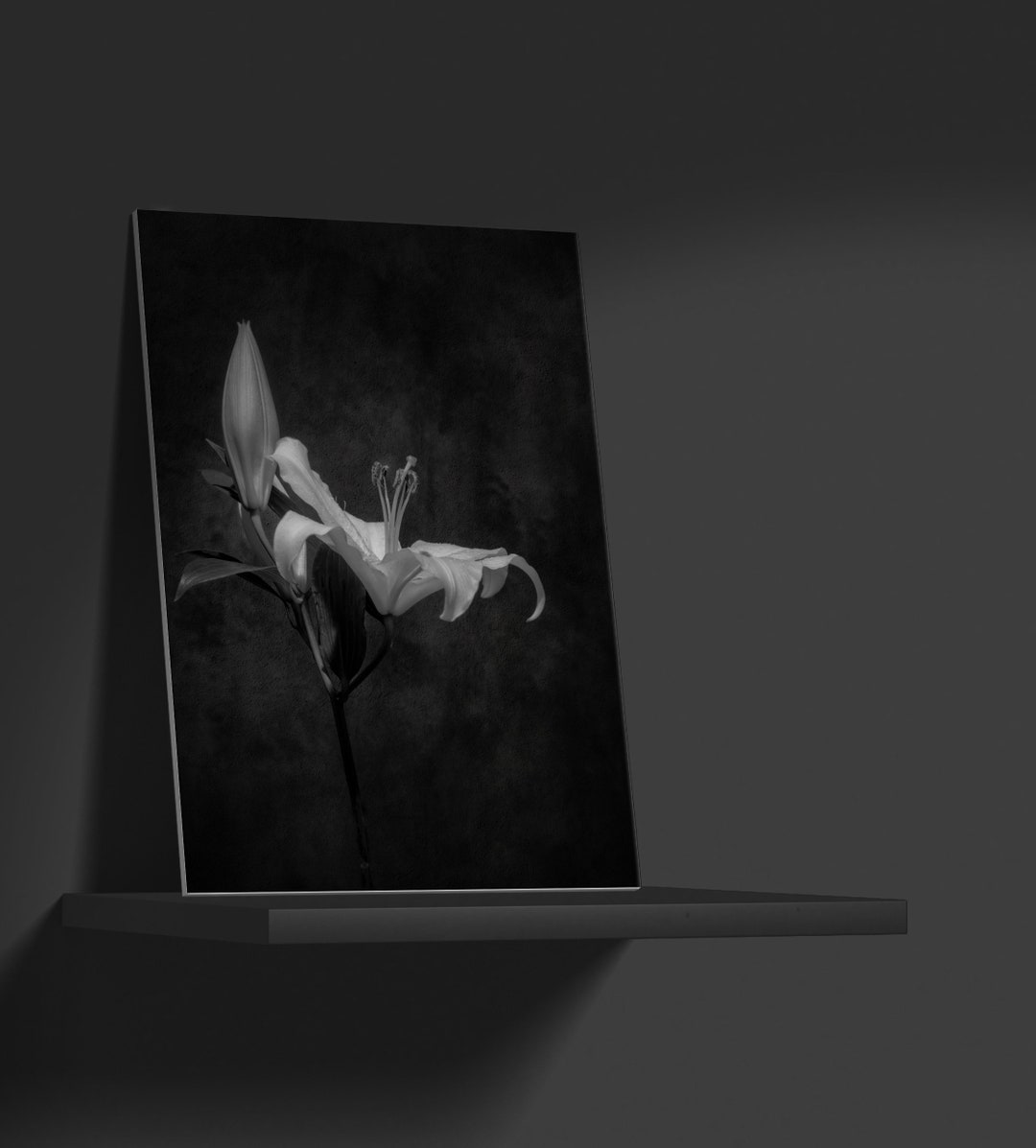Lily Flower Fine Art Photo Print, Floral Art, Flower Photo Print, Lily