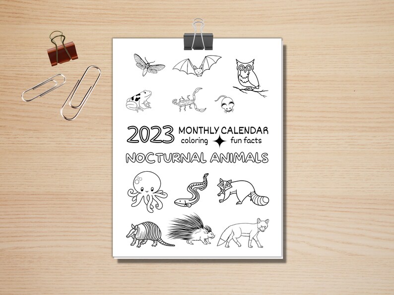 2023 yearly monthly calendar printable lined nocturnal etsy