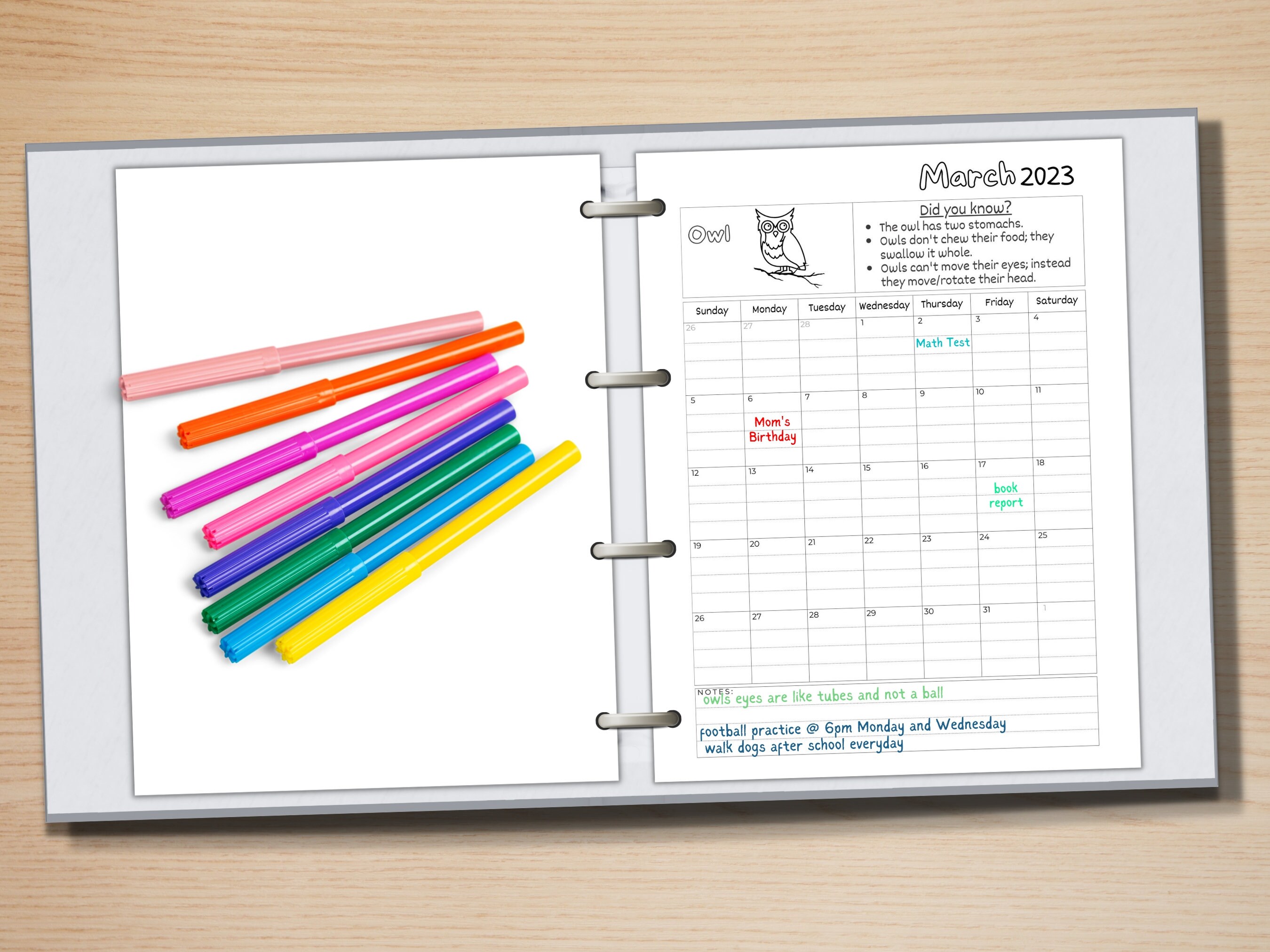2023 yearly monthly calendar printable lined nocturnal etsy canada