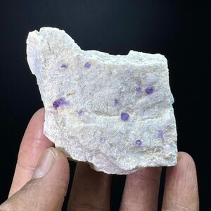 May include: A piece of raw, light-colored rock with small, vibrant purple crystals embedded throughout. The rock has a rough, textured surface and is held in a hand against a dark background. The crystals are various sizes and shapes.