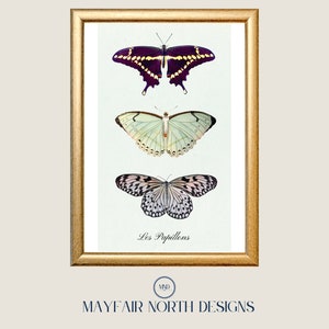 Les Papillons Art Print, Butterfly Wall Art, Vintage Butterfly Print, French Wall Art, Digital Download, Boho Chic Decor, Elegant Wall Art