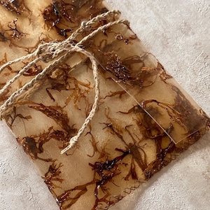 バイオプラスチックケース/トイレタリーバッグ