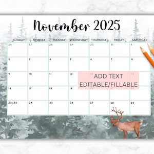 EDITABLE November 2025 Calendar, Fall Calendar, Monthly Schedule Printable Classroom Calendar for School, Work, Office Planner,Kids Calendar