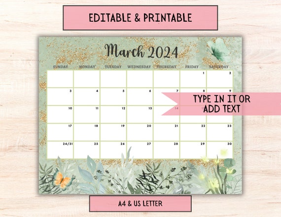 EDITABLE March 2024 Calendar Printable Fillable March Monthly Planner, March  Kids Schedule Classroom Calendar Instant Download A4 & Letter - Etsy