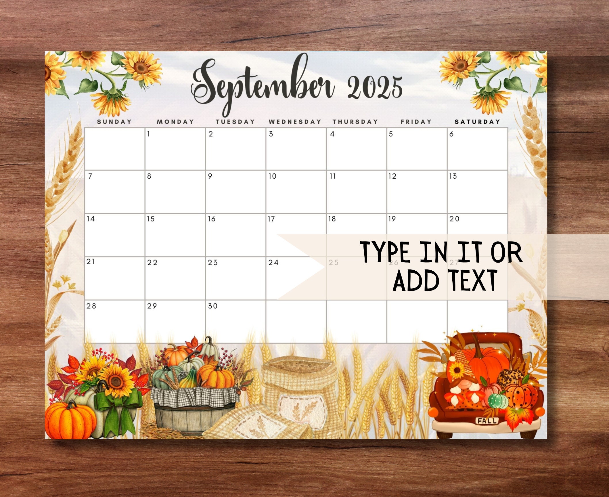 EDITABLE Monthly Calendar 2025 Bundle, Cute Printable Fillable Monthly