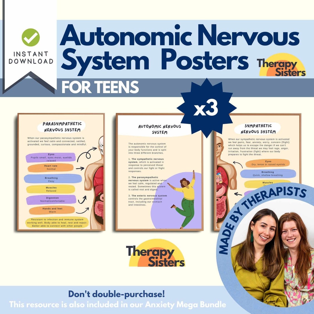 Teen Anxiety Nervous System Poster | School Counseling Signs ...