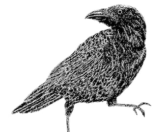 Dancing crow print, original ink drawing reproduction