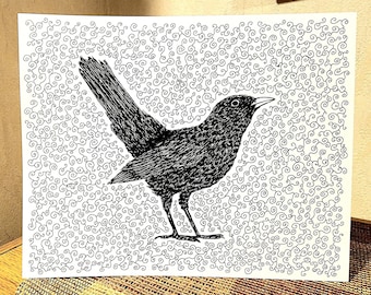 Blackbird original drawing with pen and ink