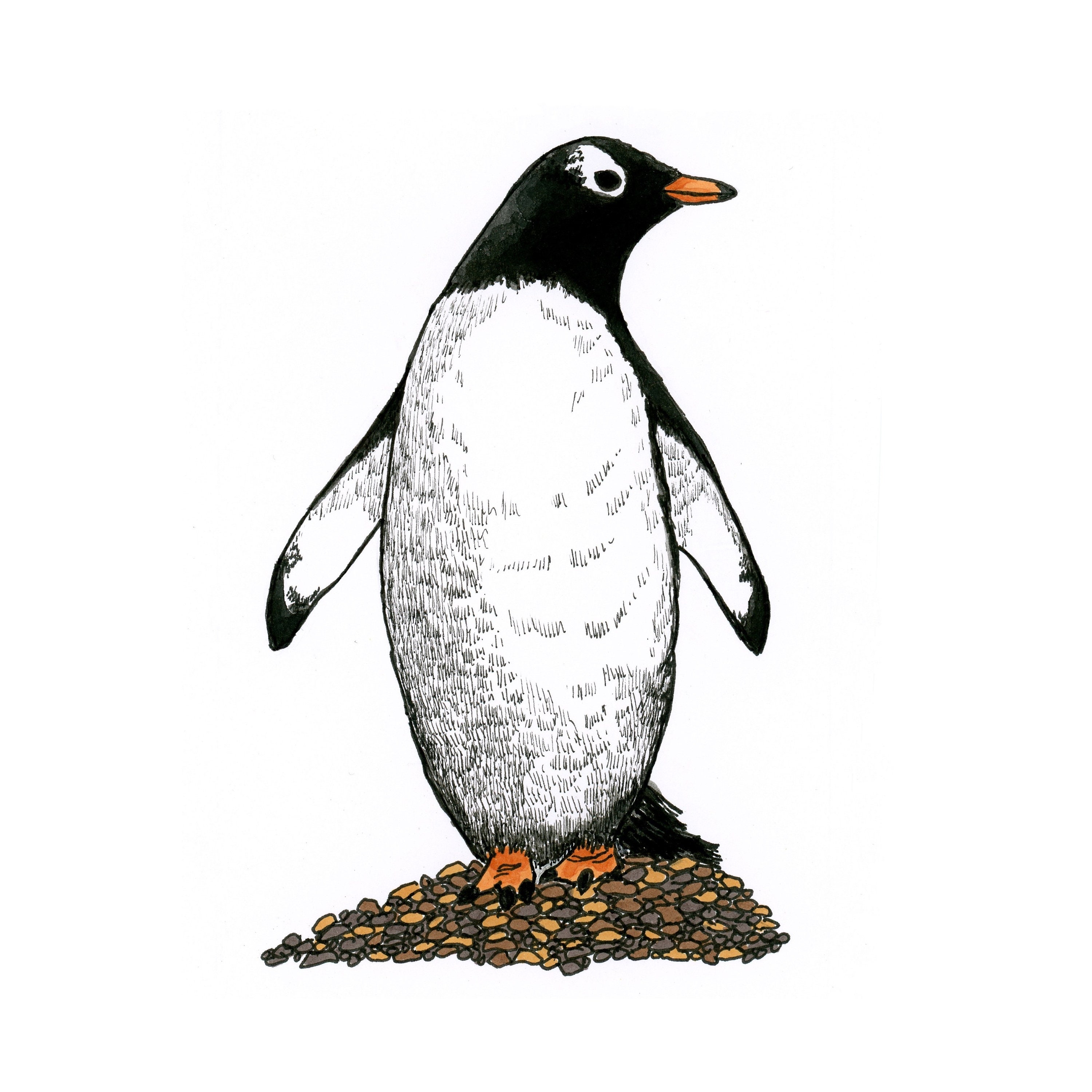 画材 Penguin Bib 画材 Penguin Bib 画材 Penguin Bib PENGUIN-160.jpg?crop=center&
