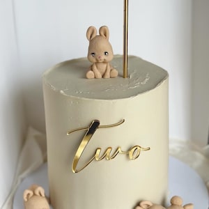 Fondant Hasen Set Cake Topper, Hase Tortenstecker, Cake Topper, Hase Tortenstecker