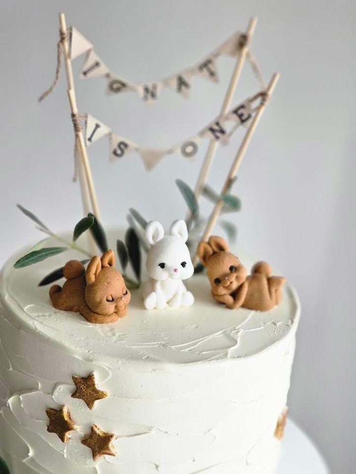 Gâteau de Lapin Topper, Décoration de Pâques avec Oreilles Cils Nez Lapin pour Cupcake et Gâteau Fête Prénatale Anniversaire Printemps