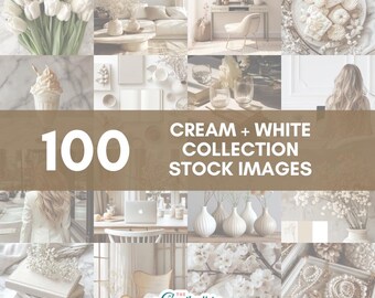 100 Creme + Weiß Sammlung Bilder