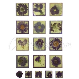Adhesivos adhesivos epoxi E-Z "Flores violetas"