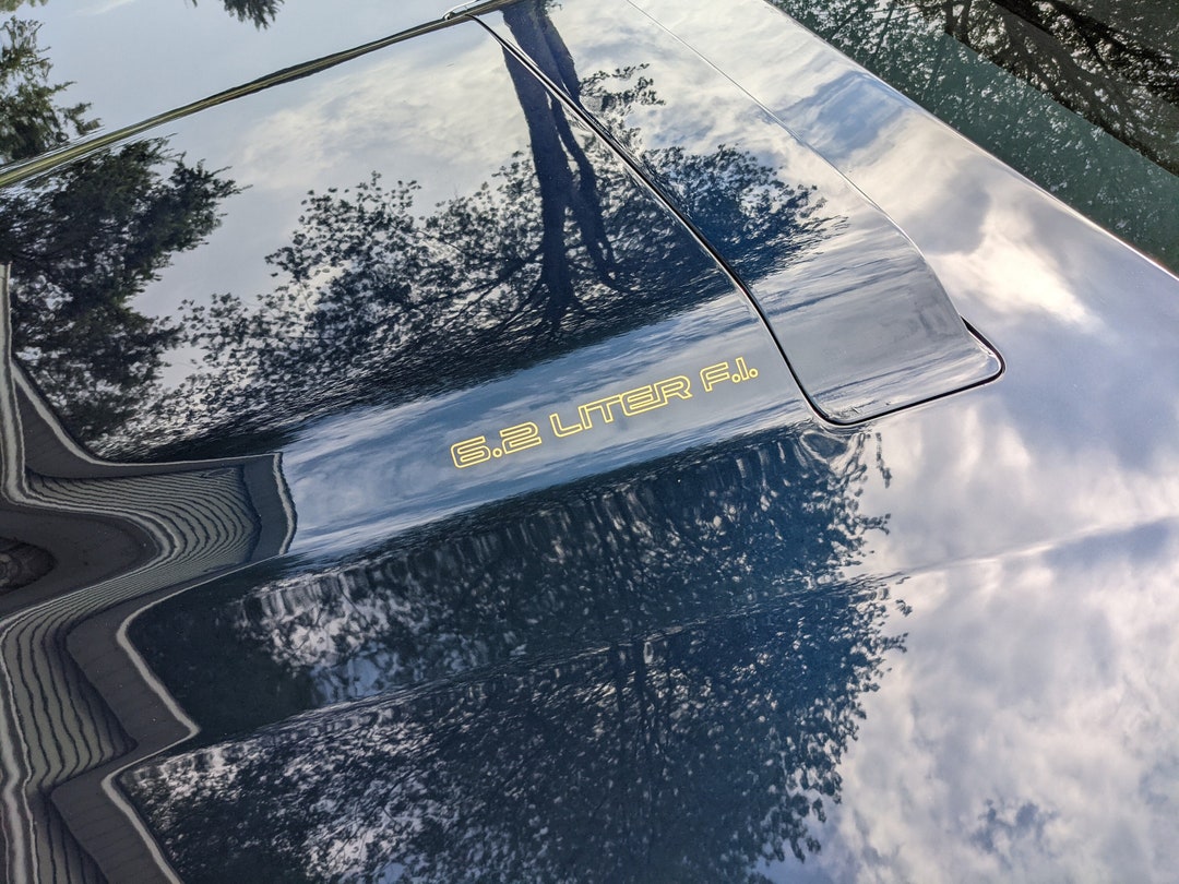 Hood Scoop Engine Size Decals for Firebird, Trans Am pair Etsy