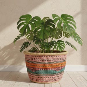 May include: A vibrant woven basket planter featuring horizontal bands of pink, orange, and teal patterns. The basket holds a lush green Monstera plant with large, split, heart-shaped leaves that extend outward from the center of the container.