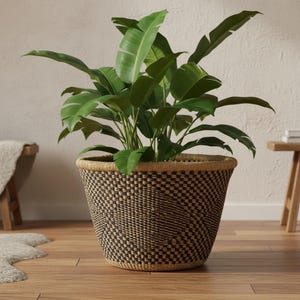 May include: A large, round woven basket planter featuring a black and tan geometric pattern with a thick, solid tan rim. A vibrant green plant with broad, elongated leaves grows out of the top of the basket, filling the space with foliage.