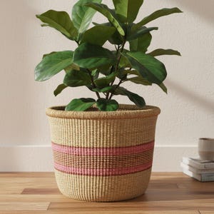 May include: A woven basket planter featuring a natural tan fiber base with two horizontal pink stripes and a dark brown stripe in the center. The basket has a cylindrical shape with a reinforced rim and holds a green leafy plant with large foliage.