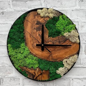 Plant Moss and Olive Wood Clock, Rustic Tree Slice Wall Clock With Live ...