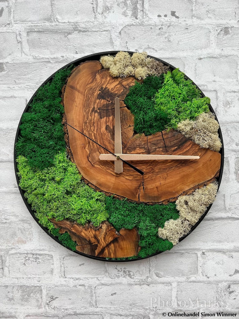 Plant Moss and Olive Wood Clock, Rustic Tree Slice Wall Clock With Live ...