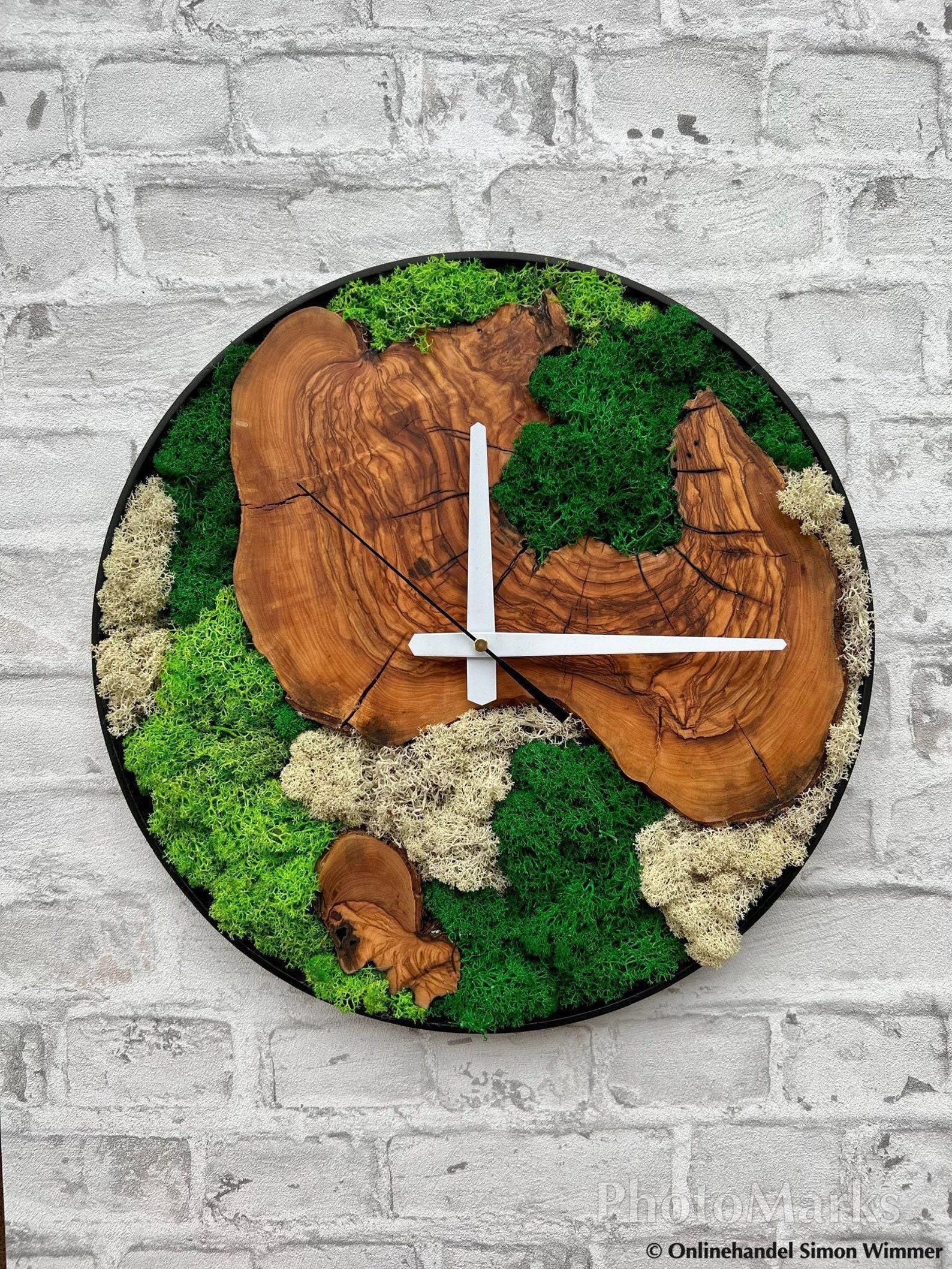 Plant Moss and Olive Wood Clock, Rustic Tree Slice Wall Clock With Live ...