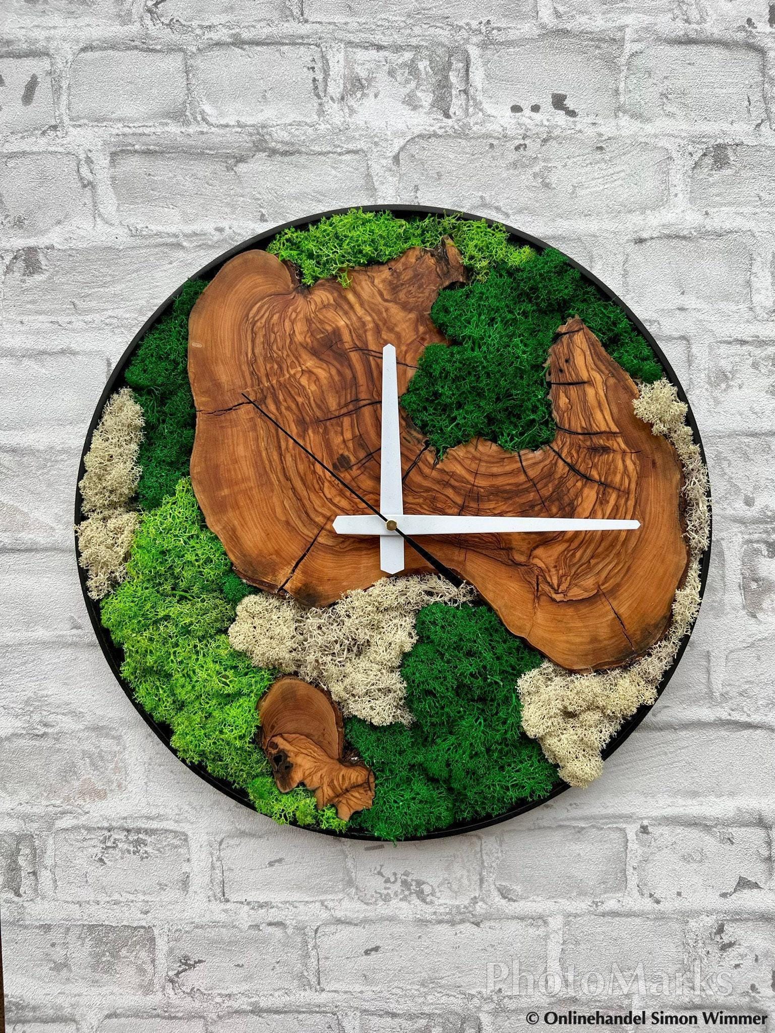 Plant Moss and Olive Wood Clock, Rustic Tree Slice Wall Clock With Live ...