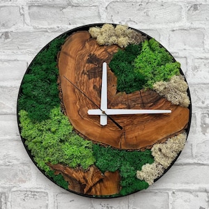 Plant Moss and Olive Wood Clock, Rustic Tree Slice Wall Clock with Live Moss & Metal Frame, Stabilized Moss Wall Decor, Nature Inspired