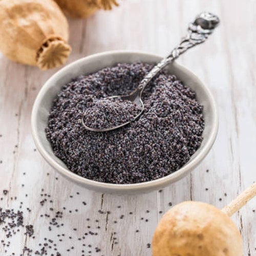 250 g Fresh Organic BLUE POPPY SEEDS Papaver Somniferum 250g Fast Shipping ! Blue poppy seeds Fresh European poppy seeds Gmo free