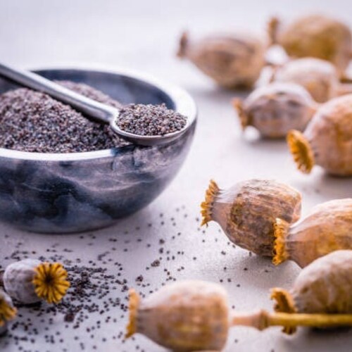 POPPY SEEDS for BAKING 200g Fast Shipping ! Fresh Blue poppy seeds Papaver Somniferum Fresh European poppy seeds bulk for baking no Gmo