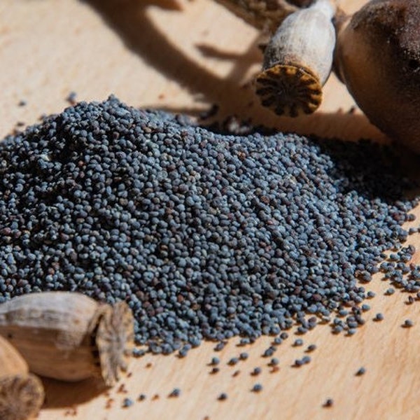 Fresh Organic BLUE POPPY SEEDS 1,85KG / 1850g International Shipping ! Papaver Somniferum European Gmo free Natural Poppy seeds For Anything
