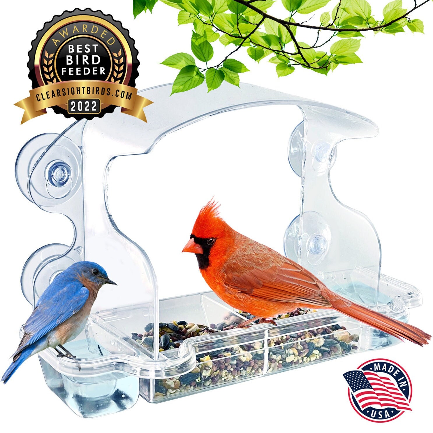 Clearview Window Bird Feeder Perfect for Close up Viewing of Your Favorite  Songbirds 