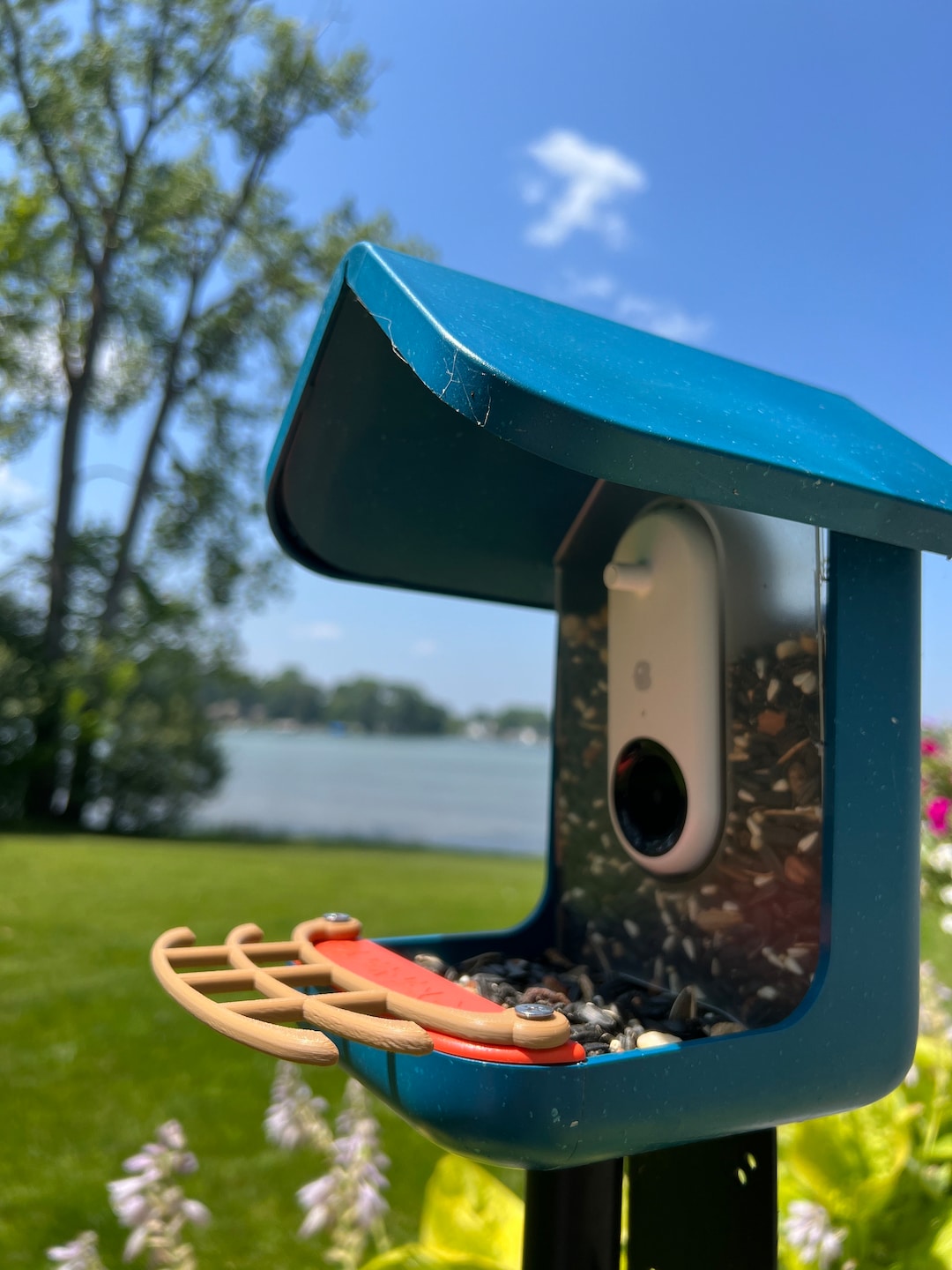 Bird Buddy Perch Curved Design tan Etsy