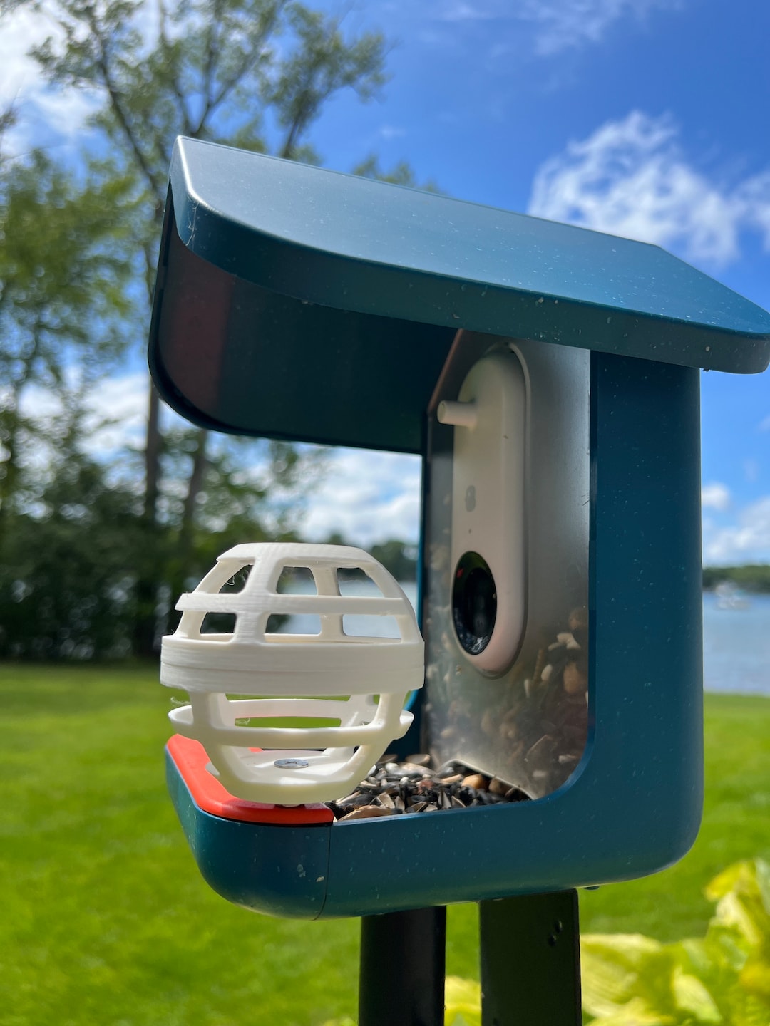 Bird Buddy Suet Ball white Etsy