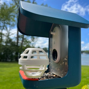 Suet Ball for Bird Buddy Feeder (White)