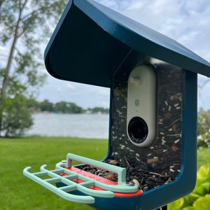 Double Perch for Bird Buddy Feeder (Light Green)