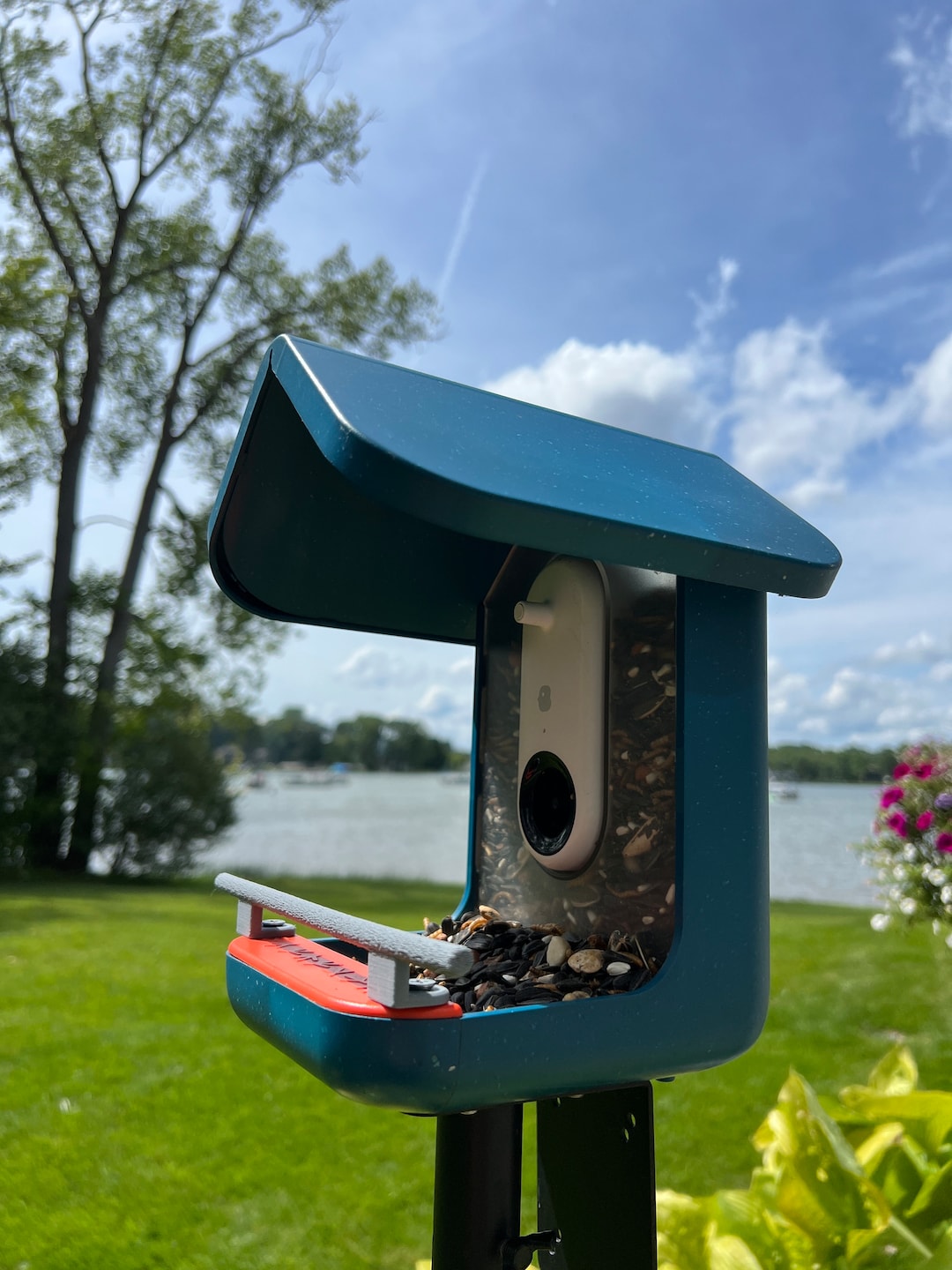 Bird Buddy Perch With Wood Grain Texture H Etsy