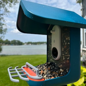 Double Perch for Bird Buddy Feeder (Gray)