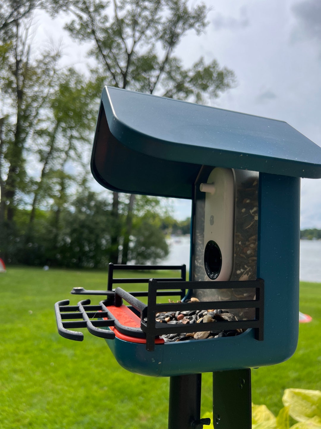 Bird Buddy Country Accessory Package No Suet Ball Extender Etsy