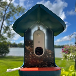 May include: A blue bird feeder with a clear plastic front and a red plastic tray. A white security camera is mounted inside the feeder. The feeder is mounted on a black metal pole.