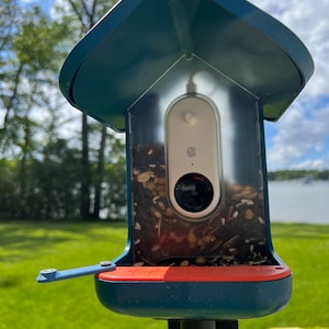 Suet Ball Extender for Bird Buddy Feeder (Medium Blue)