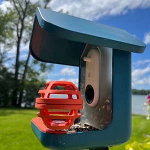 Suet Ball for Bird Buddy Feeder (Dark Orange)