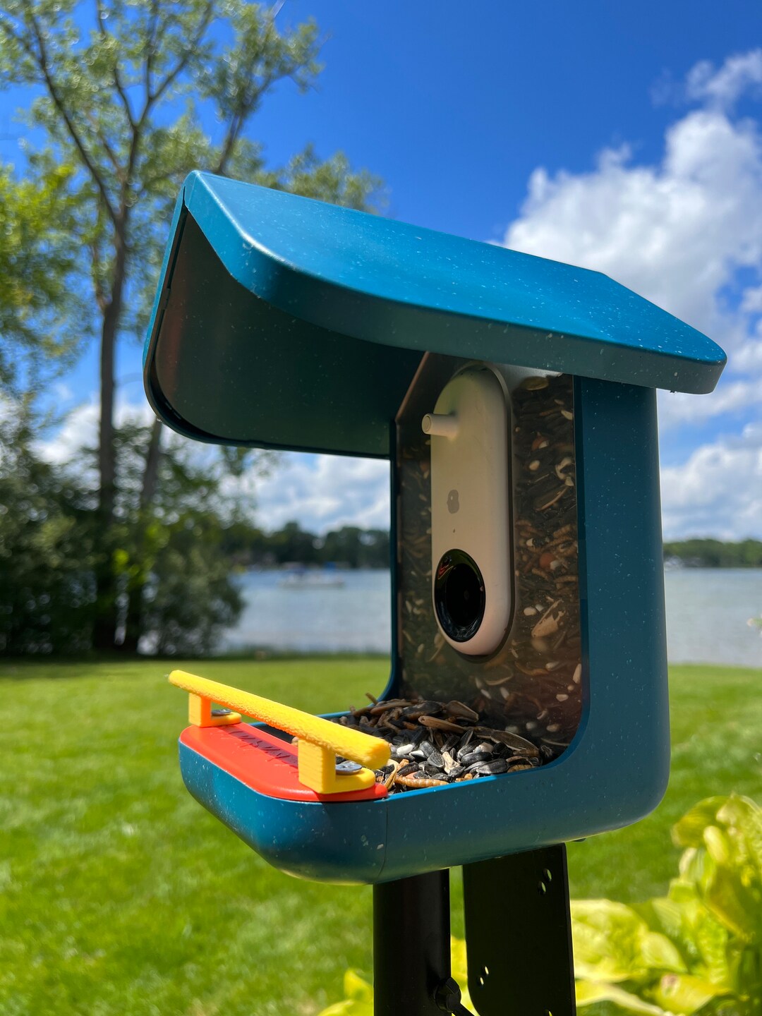 Bird Buddy Perch With Wood Grain Texture D Etsy