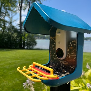 Double Perch for Bird Buddy Feeder (Yellow)