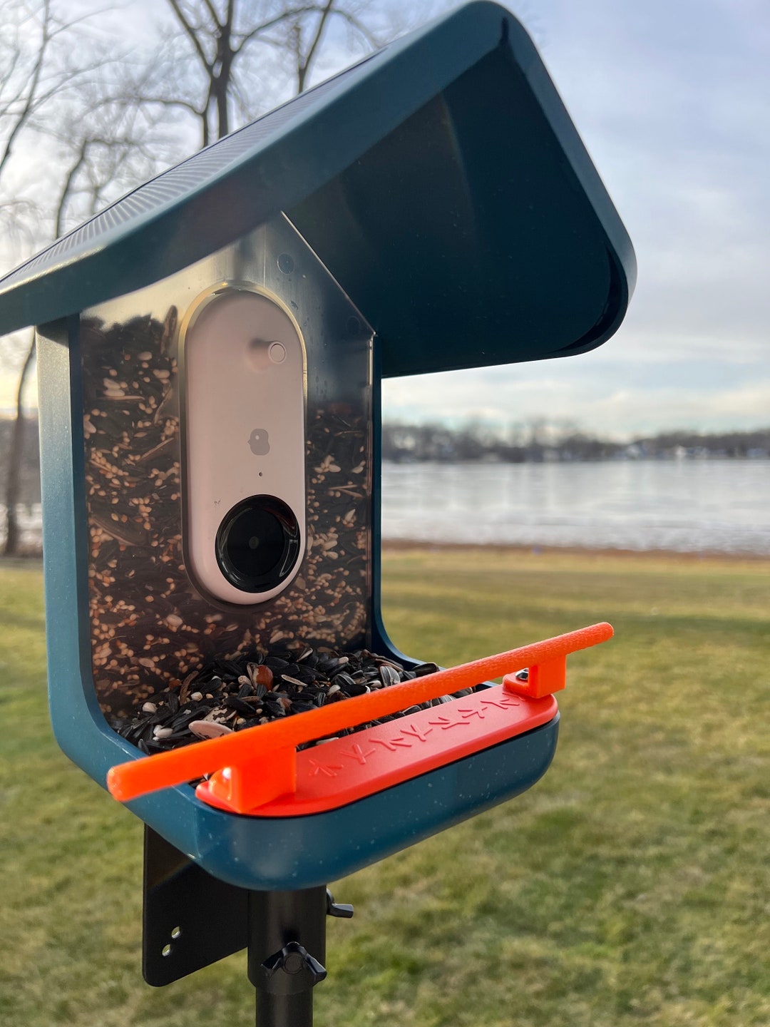 Bird Buddy Perch With Wood Grain Texture in Orange Etsy