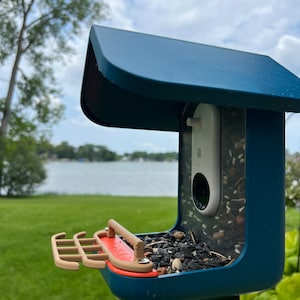 Double Perch for Bird Buddy Feeder (Tan)