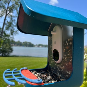 Curved Perch for Bird Buddy Feeder (Medium Blue)