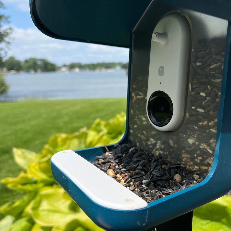 Bird Buddy Replacement Parts - Etsy