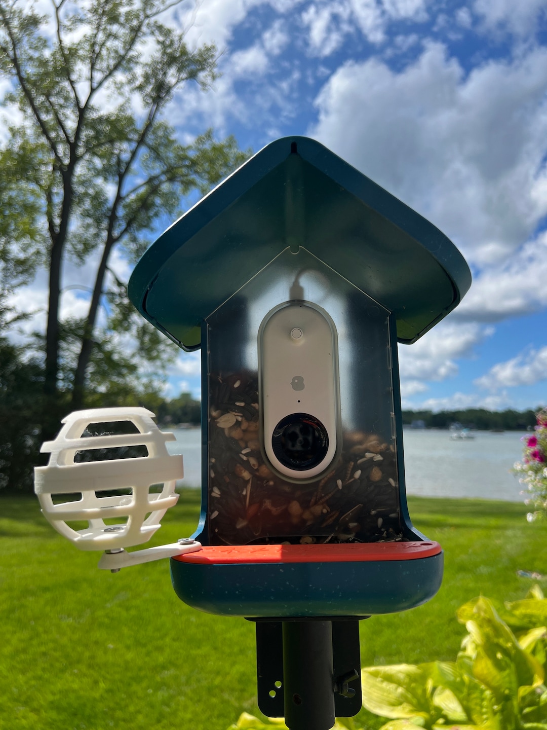 Bird Buddy Suet Ball With Extender white Etsy