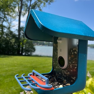 Double Perch for Bird Buddy Feeder (Medium Blue)