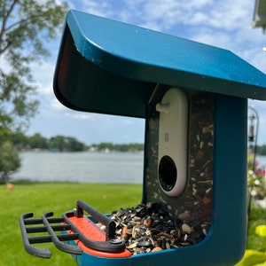Double Perch for Bird Buddy Feeder (Black)